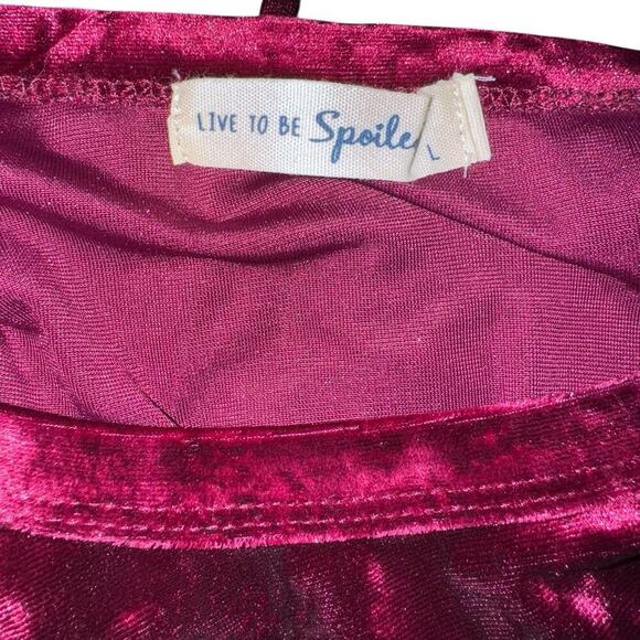 Live To Be Spoiled Burgundy Crushed Velvet Body Con Dress Ruched Side Sz L NWOT - Picture 5 of 7